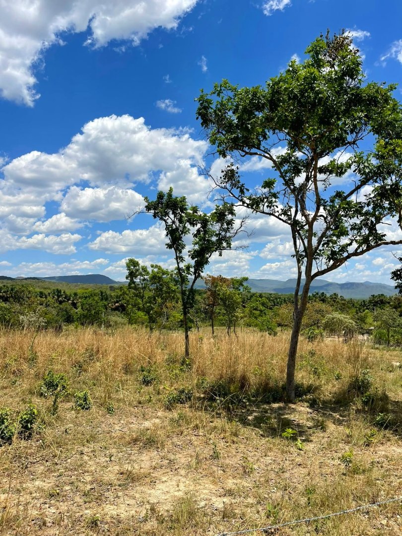 AREAS DE 4,8 HECTARES- COM RIACHO E NASCENTE - PRÓXIMAS DIVERSOS ATRATIVOS - TERESINA GOIAS