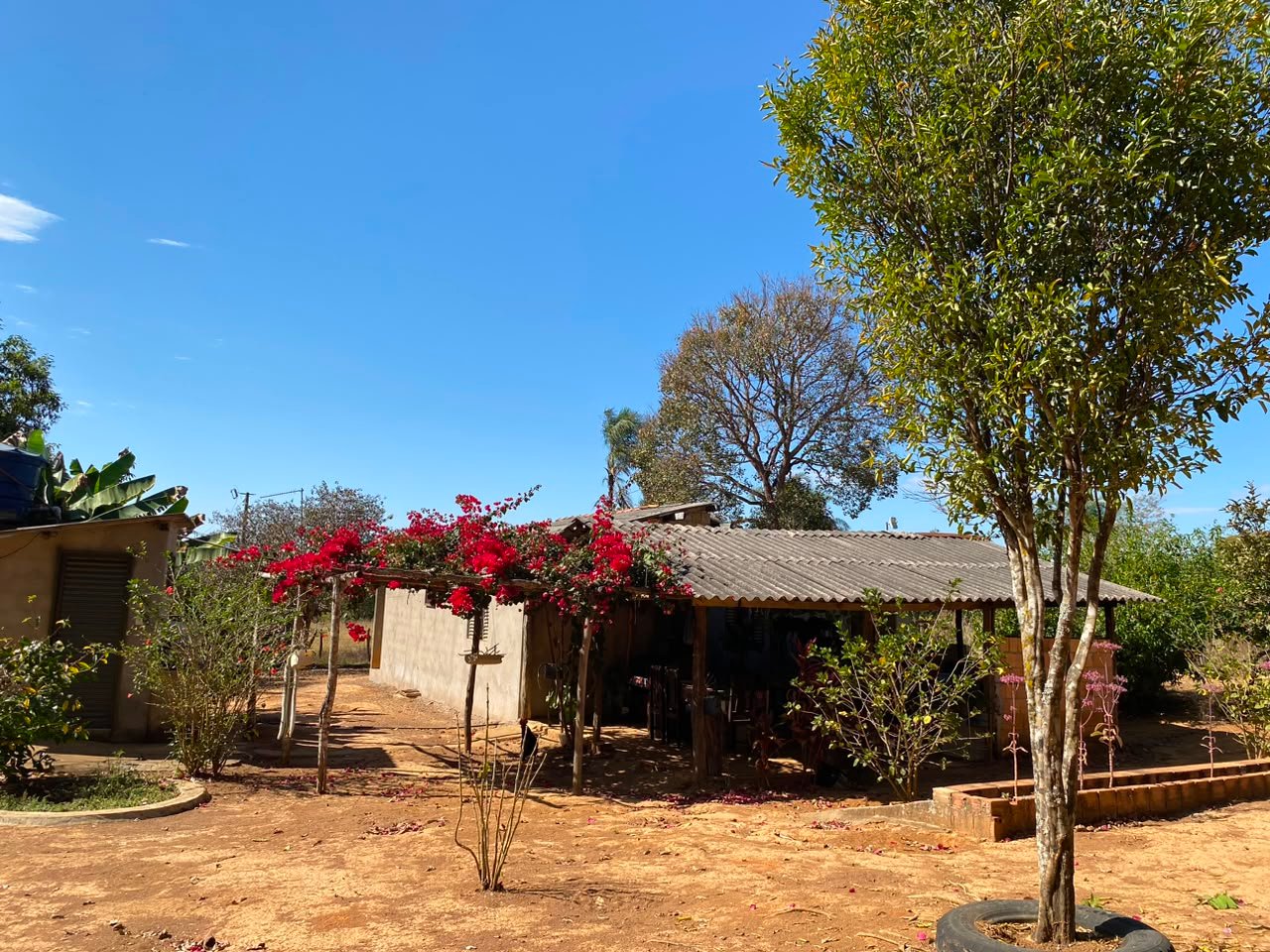 Foto 5