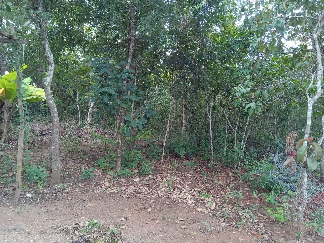 Foto 16