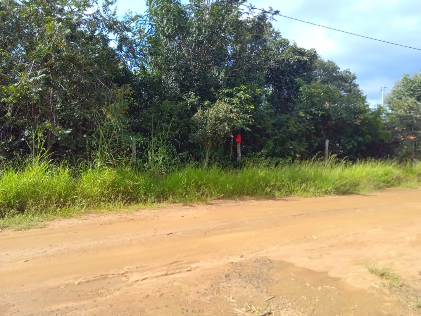 Foto 9