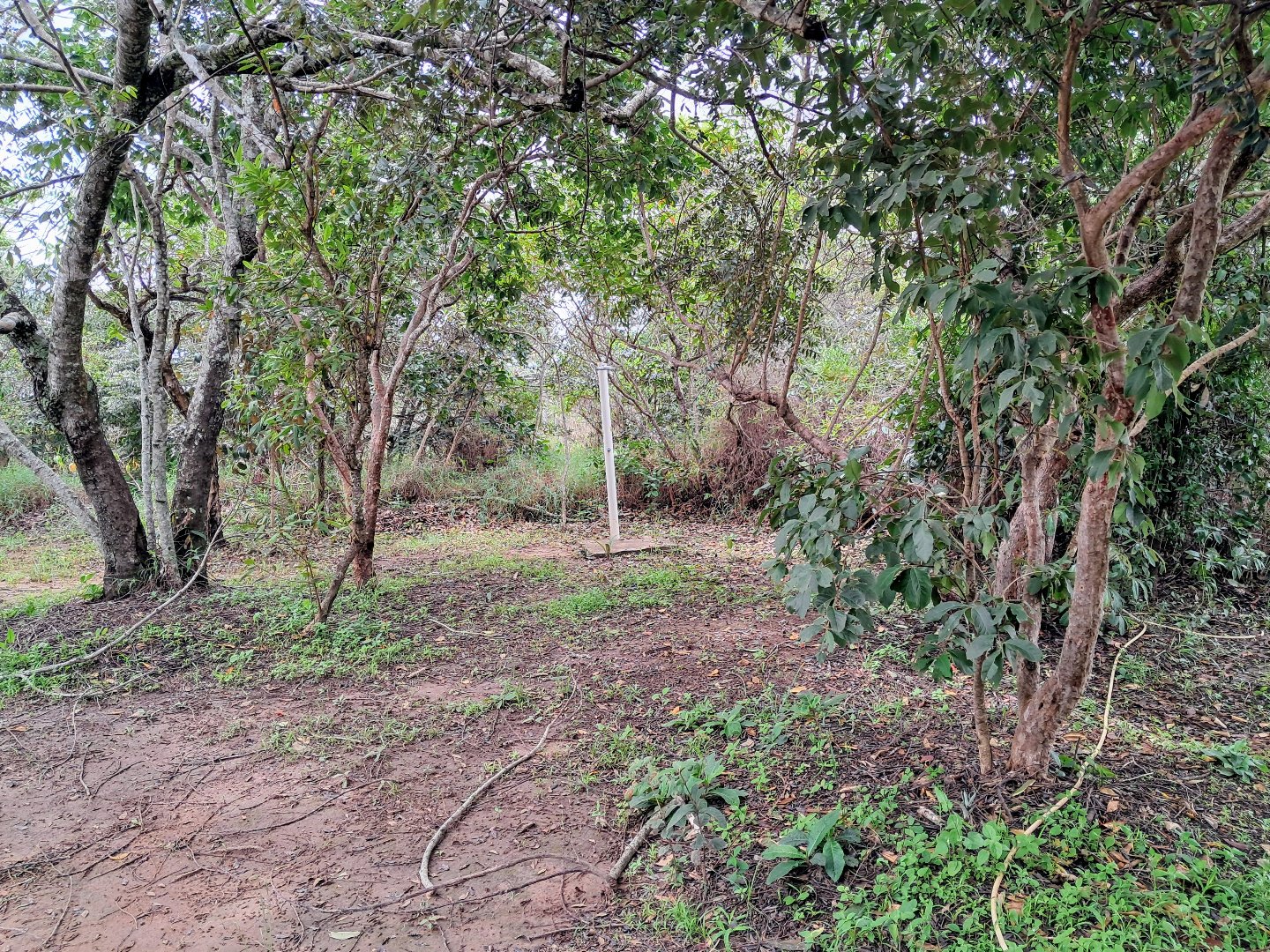 Foto 18
