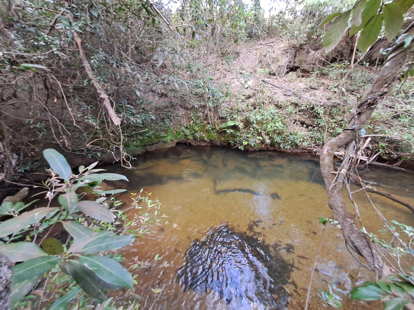 Foto 48