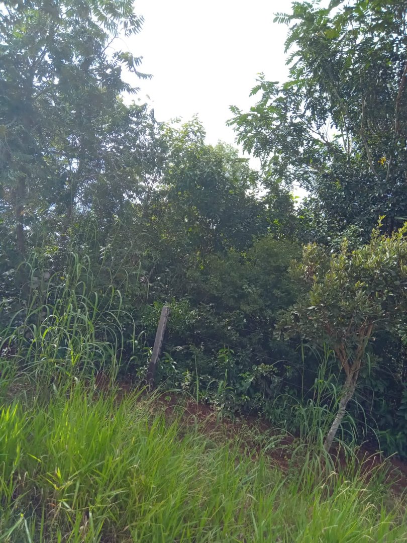 Foto 17