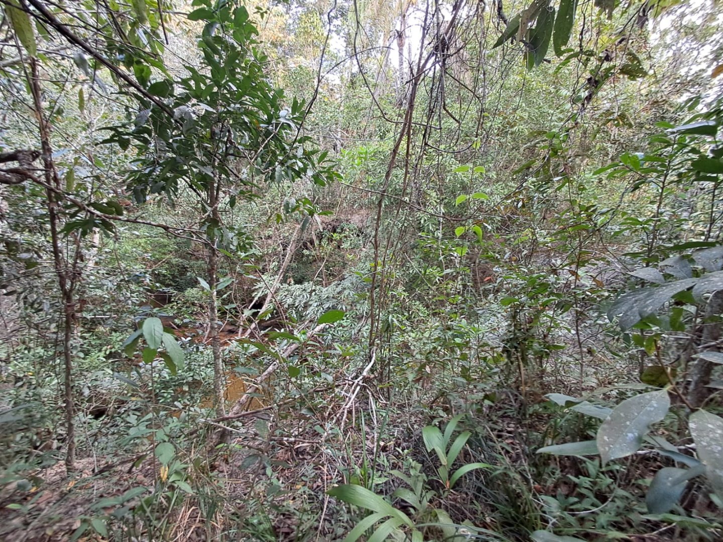 Foto 47