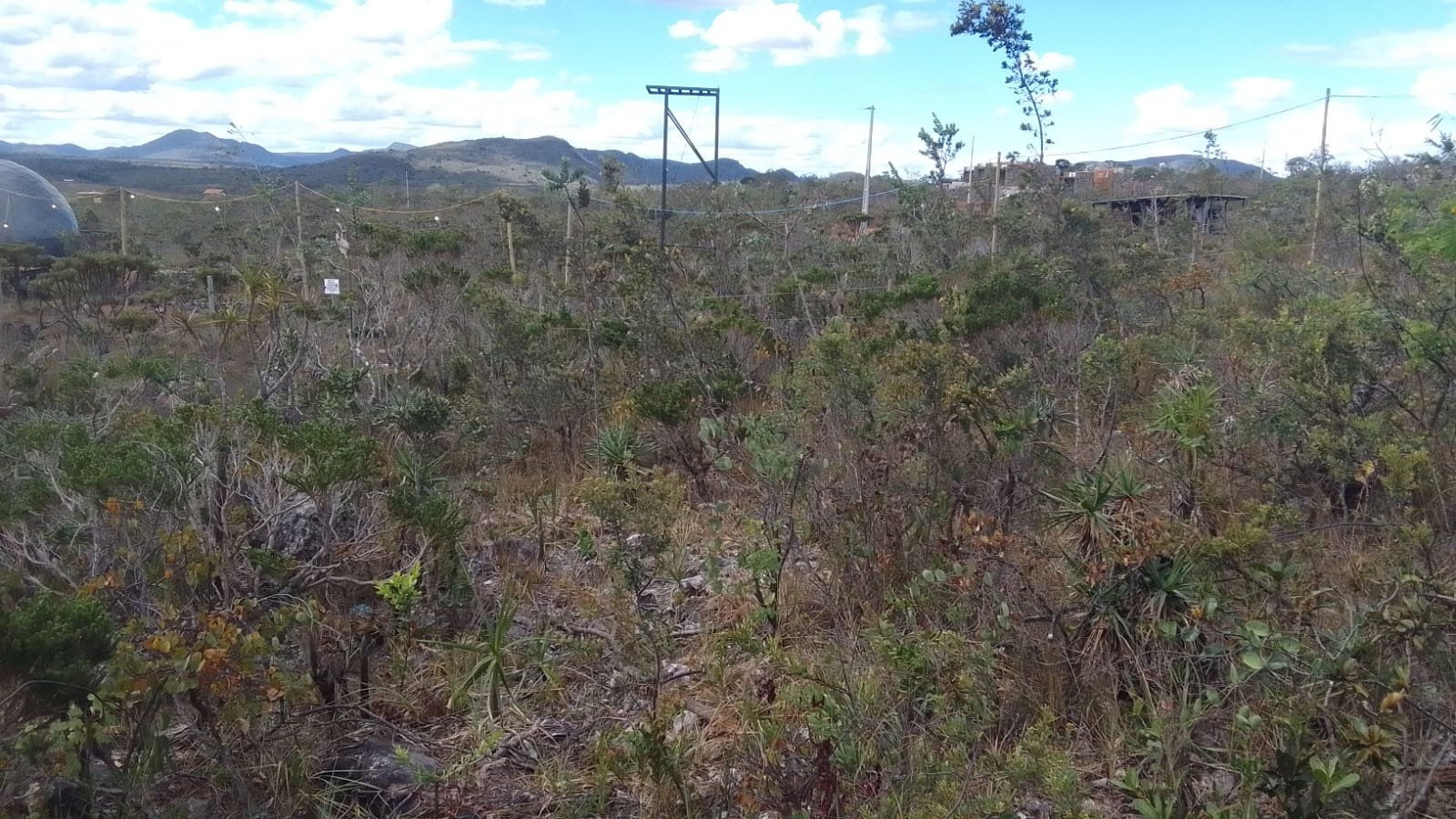 Foto 11