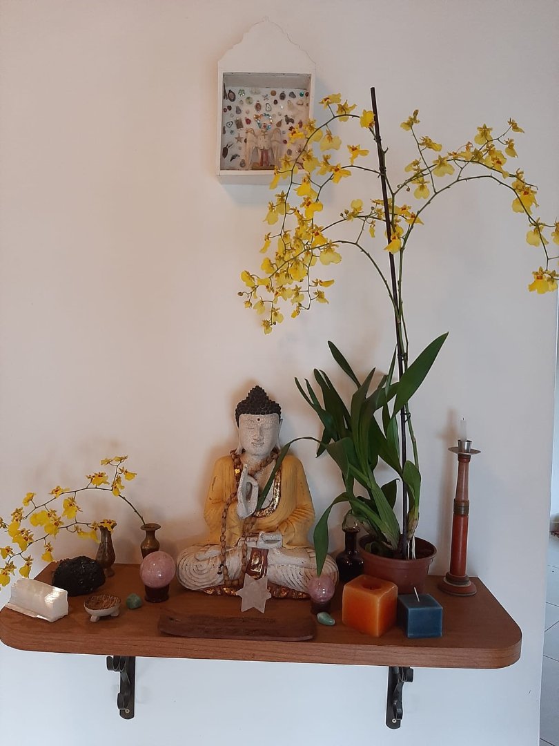 Foto 21