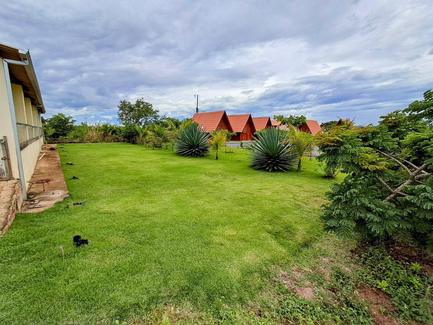 Foto 43