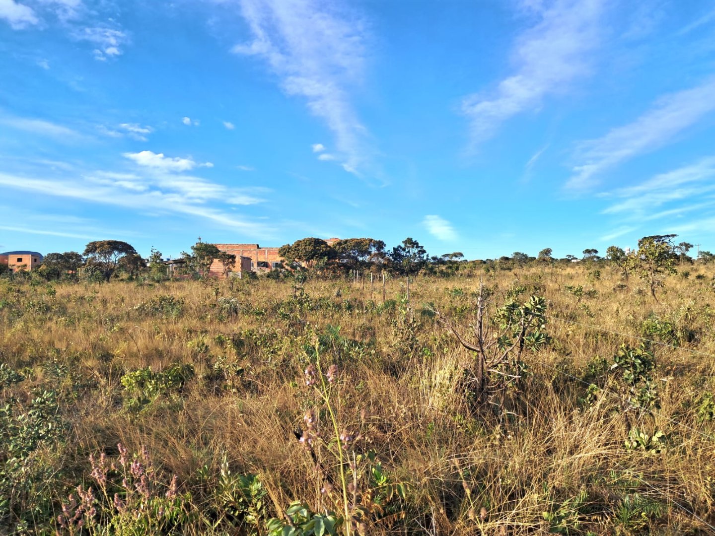 AREA 5.000m2 , OU LOTES DE 1000m2 - 1 LOTE COM LINDO CHALÉ - PRÓXIMO AEROPORTO - ALTO PARAISO DE GOIAS