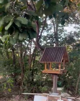 Foto 23