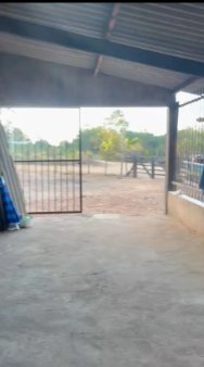 Foto 42