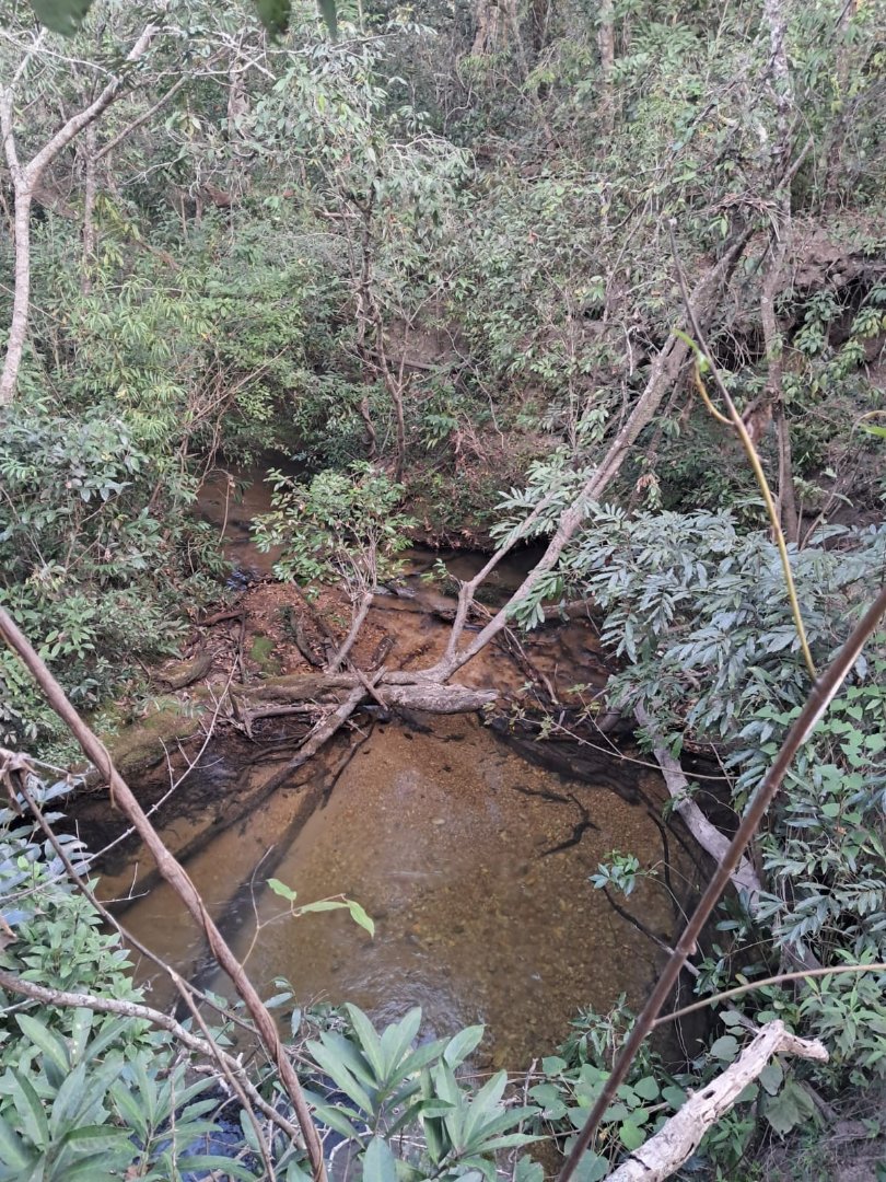 Foto 51